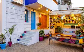 Gostops Lite Jaipur